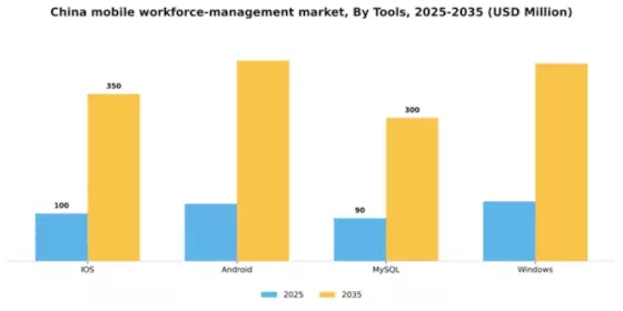 China Mobile Workforce Management Market Segment Image 2
