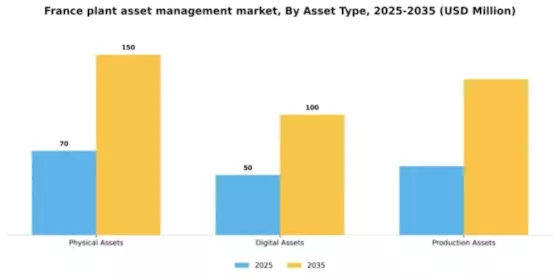 France Plant Asset Management Market Segment Image 1