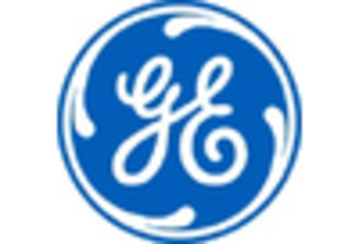 France Plant Asset Management Market key player