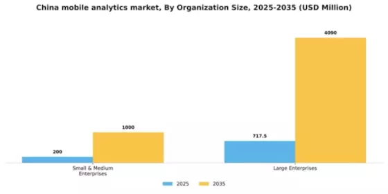 China Mobile Analytics Market Segment Image 0