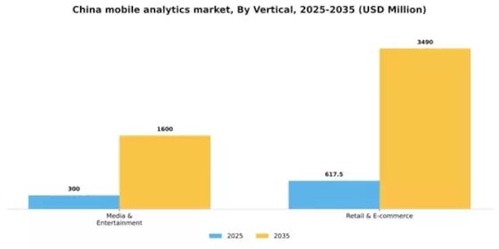 China Mobile Analytics Market Segment Image 2