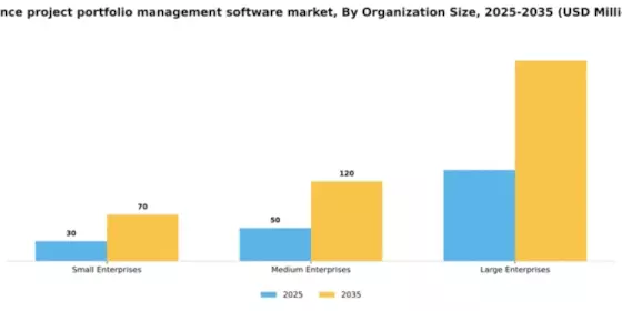 France Project Portfolio Management Software Market Segment Image 3