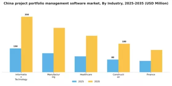 China Project Portfolio Management Software Market Segment Image 2