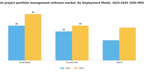 Spain Project Portfolio Management Software Market Segment Image 1