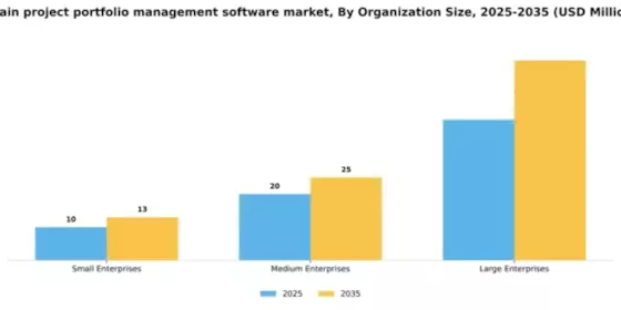 Spain Project Portfolio Management Software Market Segment Image 3