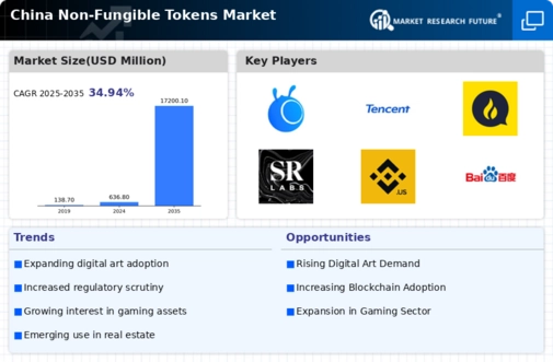 China Non Fungible Tokens Market Infographic