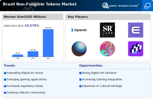Brazil Non Fungible Tokens Market Infographic