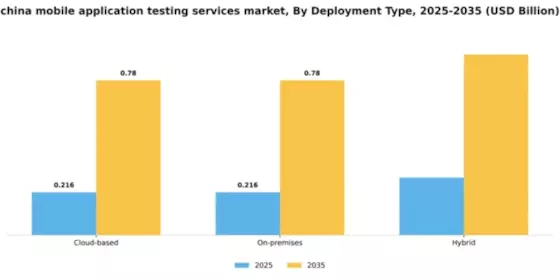 China Mobile Application Testing Services Market Segment Image 1