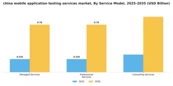 China Mobile Application Testing Services Market Segment Image 3
