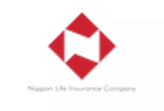 Japan Property Insurance Market key player