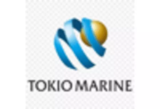 Japan Property Insurance Market key player