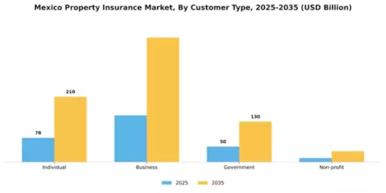 Mexico Property Insurance Market Segment Image 0