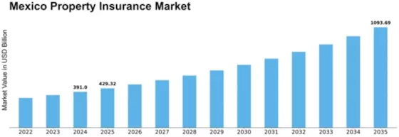 Mexico Property Insurance Market Size