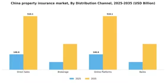 China Property Insurance Market Segment Image 1