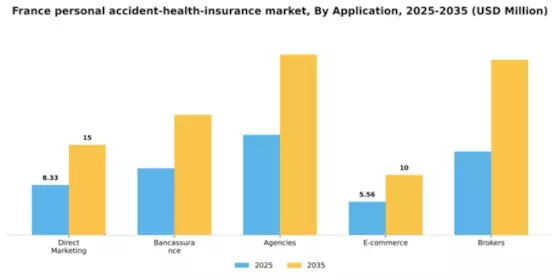 France Personal Accident Health Insurance Market Segment Image 0