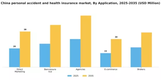 China Personal Accident Health Insurance Market Segment Image 0