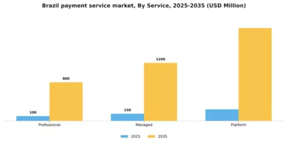 Brazil Payment Service Market Segment Image 0
