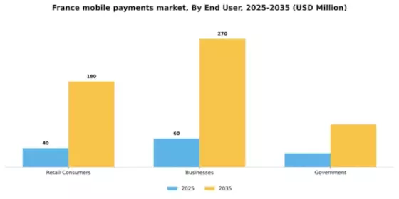 France Mobile Payments Market Segment Image 0