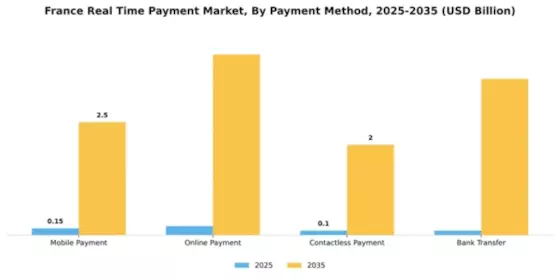France Real Time Payment Market Segment Image 1