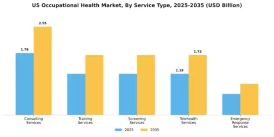 US Occupational Health Market  Segment Image 4