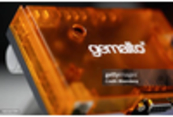 India Palm Recognition Market key player