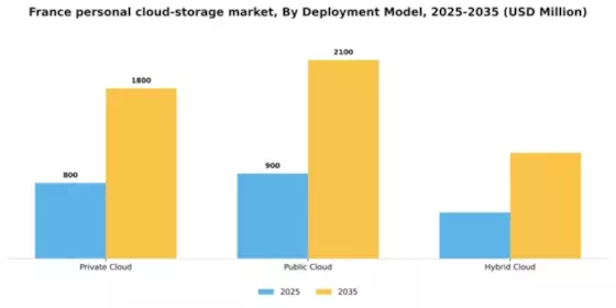 France Personal Cloud Storage Market Segment Image 0