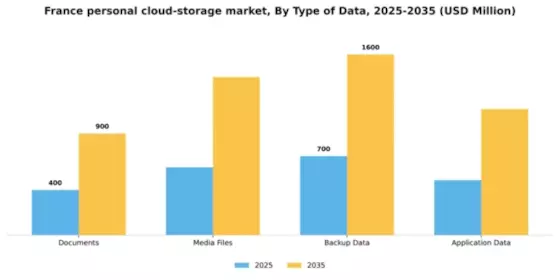 France Personal Cloud Storage Market Segment Image 3