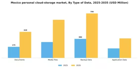 Mexico Personal Cloud Storage Market Segment Image 3
