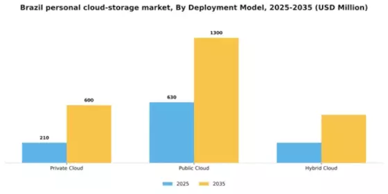 Brazil Personal Cloud Storage Market Segment Image 0