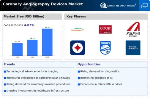 Coronary Angiography Devices Market Infographic