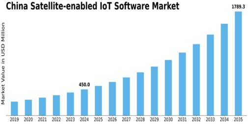 China Satellite Enabled Iot Software Market Size