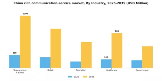China Rich Communication Service Market Segment Image 3