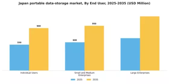 Japan Portable Data Storage Market Segment Image 1