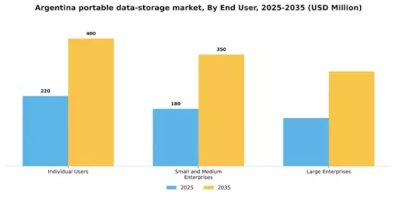 Argentina Portable Data Storage Market Segment Image 1