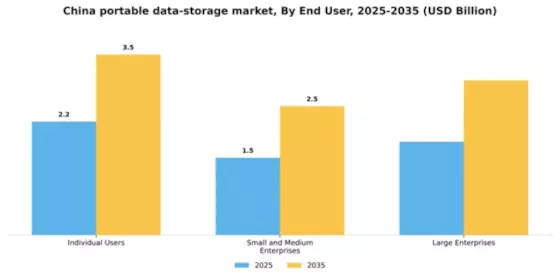 China Portable Data Storage Market Segment Image 1