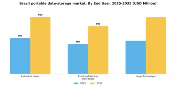 Brazil Portable Data Storage Market Segment Image 1