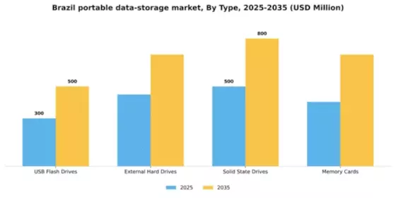 Brazil Portable Data Storage Market Segment Image 3