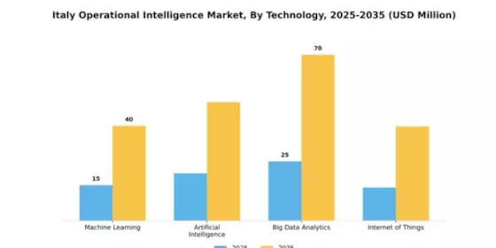 Italy Operational Intelligence Market Segment Image 4