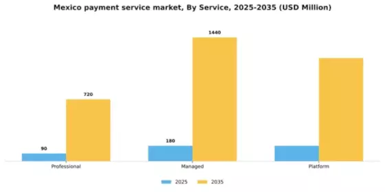Mexico Payment Service Market Segment Image 0