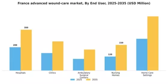 France Advanced Wound Care Market  Segment Image 0