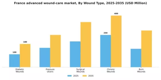 France Advanced Wound Care Market  Segment Image 2