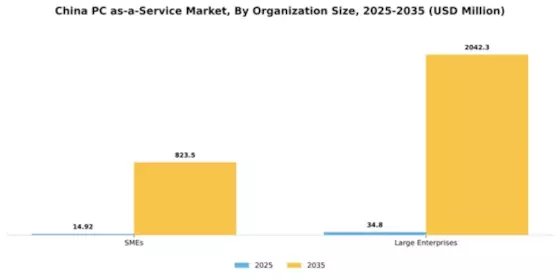 China Pc As A Service Market Segment Image 1