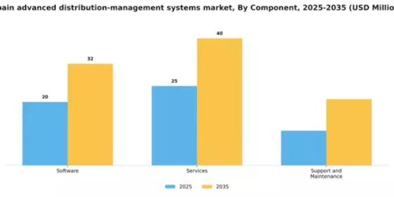 Spain Advanced Distribution Management Systems Market Segment Image 1