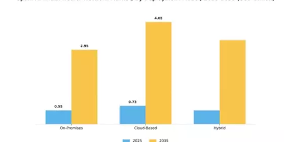 Spain Artificial Neural Network Market Segment Image 1
