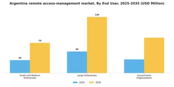 Argentina Remote Access Management Market Segment Image 1