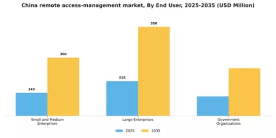 China Remote Access Management Market Segment Image 1
