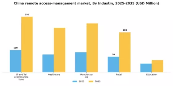 China Remote Access Management Market Segment Image 2