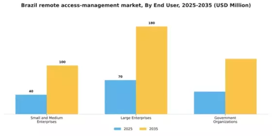 Brazil Remote Access Management Market Segment Image 1