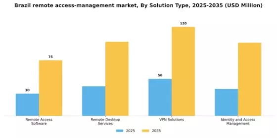Brazil Remote Access Management Market Segment Image 3