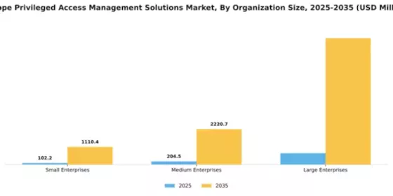 Europe Privileged Access Management Solutions Market Segment Image 4